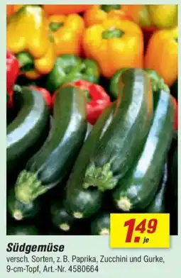 toom Baumarkt Südgemüse Angebot