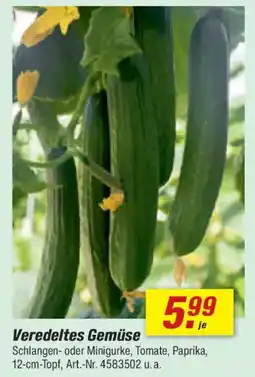 toom Baumarkt Veredeltes Gemüse Angebot