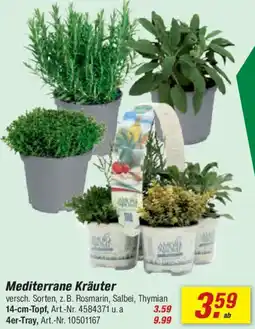 toom Baumarkt Mediterrane Kräuter Angebot