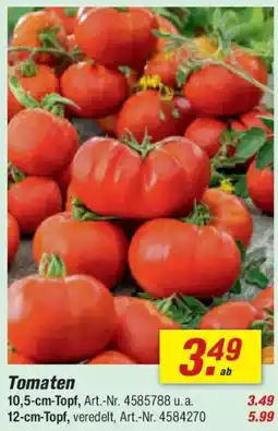 toom Baumarkt Tomaten Angebot