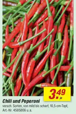 toom Baumarkt Chili und Peperoni Angebot