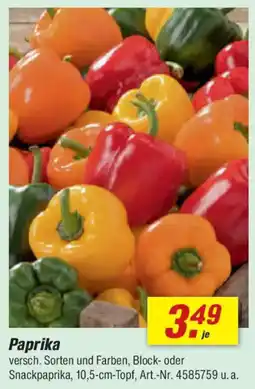 toom Baumarkt Paprika Angebot