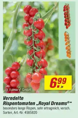 toom Baumarkt Veredelte Rispentomaten ,,Royal Dreams" Angebot