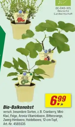 toom Baumarkt Bio-Balkonobst Angebot