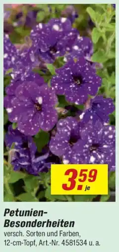 toom Baumarkt Petunien Besonderheiten Angebot