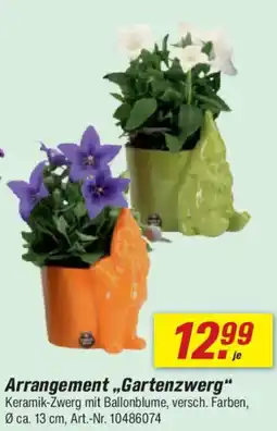 toom Baumarkt Arrangement ,,Gartenzwerg" Angebot