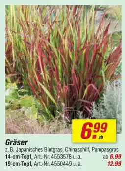 toom Baumarkt Gräser Angebot