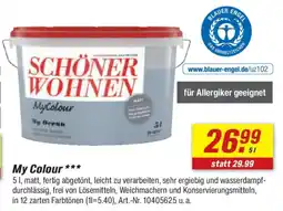 toom Baumarkt SCHÖNER WOHNEN My Colour Angebot