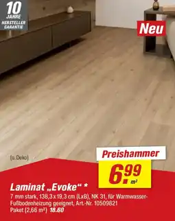 toom Baumarkt Laminat ,,Evoke" Angebot