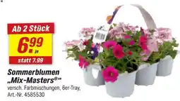 toom Baumarkt Sommerblumen ,,Mix-Masters" Angebot