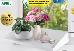 Hagebau Frischluft-Fensterbrett Angebot