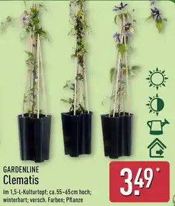 Aldi Nord GARDENLINE Clematis Angebot