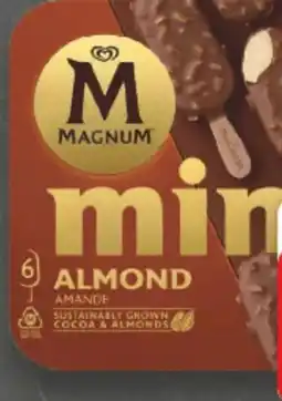 E-Center Langnese Magnum Angebot