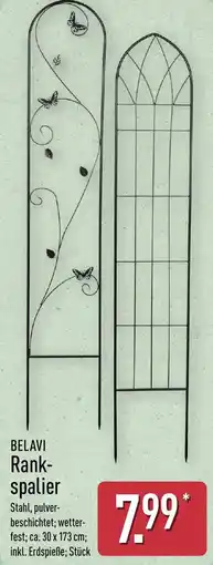 Aldi Nord BELAVI Rank spalier Angebot