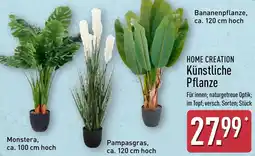Aldi Nord HOME CREATION Künstliche Pflanze Angebot