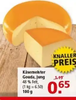 Multi Markt Käsemeister Gouda, Jung Angebot