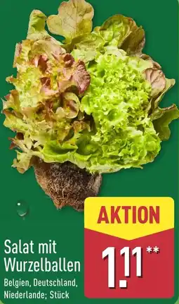 Aldi Nord Salat mit Wurzelballen Angebot