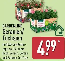 Aldi Nord GARDENLINE Geranien/ Fuchsien Angebot
