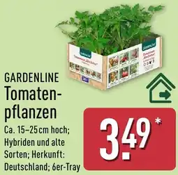 Aldi Nord GARDENLINE Tomaten pflanzen Angebot