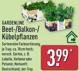 Aldi Nord GARDENLINE Beet-/Balkon-/ Kübelpflanzen Angebot