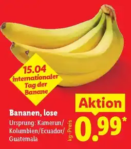 Lidl Bananen, lose Angebot