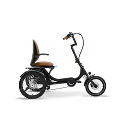 Netto Marken-Discount SachsenRAD E-Dreirad T6 Comfort mit Sitz und Alarmanlage Angebot