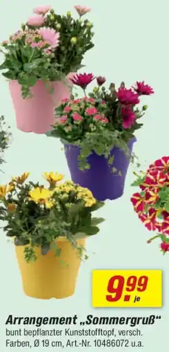 toom Baumarkt Arrangement ,,Sommergruß" Angebot