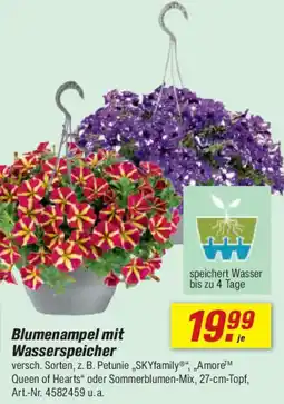 toom Baumarkt Blumenampel mit Wasserspeicher Angebot