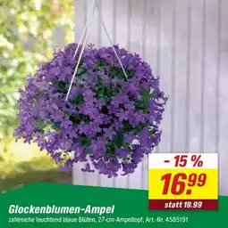 toom Baumarkt Glockenblumen-Ampel Angebot