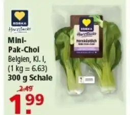 Multi Markt EDEKA Mini- Pak-Choi Angebot