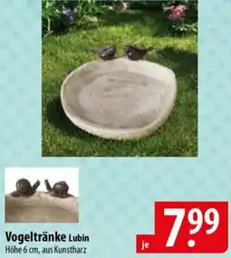 Famila Nord Ost Vogeltränke Angebot