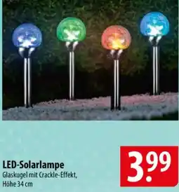 Famila Nord Ost LED-Solarlampe Angebot