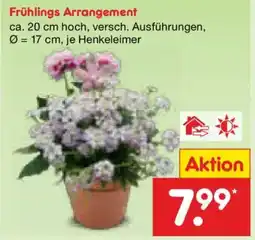 Netto Marken-Discount Frühlings Arrangement Angebot