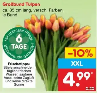 Netto Marken-Discount Großbund Tulpen Angebot