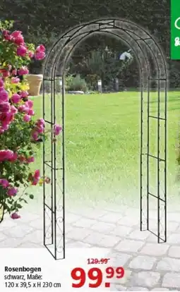 Multi Markt Rosenbogen Angebot