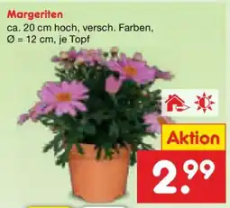 Netto Marken-Discount Margeriten Angebot