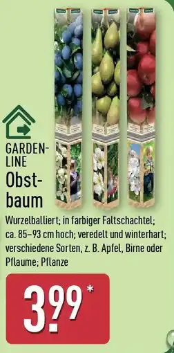 Aldi Nord GARDENLINE Obstbaum Angebot