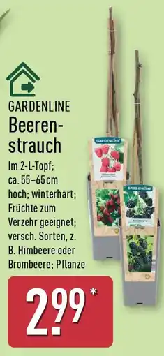 Aldi Nord GARDENLINE Beeren strauch Angebot