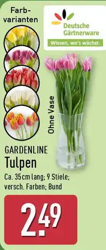 Aldi Nord GARDENLINE Tulpen Angebot