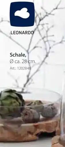 Zurbrüggen LEONARDO Schale Angebot