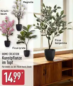 Aldi Nord HOME CREATION Kunstpflanze im Topf Angebot