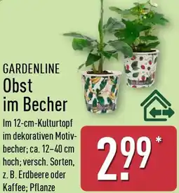 Aldi Nord GARDENLINE Obst im Becher Angebot