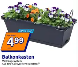 Action Balkonkasten Angebot