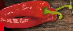 Handelshof Rote Spitzpaprika Angebot