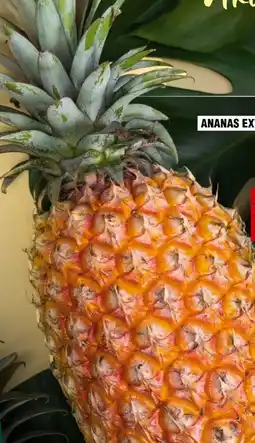Handelshof Ananas Extra Sweet Angebot