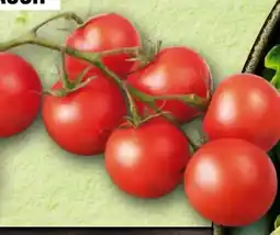 Handelshof Cherrystrauchtomaten Angebot