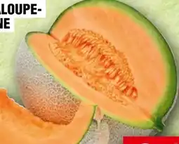 Handelshof Cantaloupemelonen Angebot