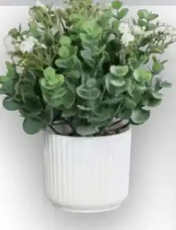 Handelshof Kunst Eucalyptus Arrangement Angebot