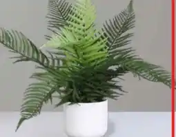 Handelshof Kunstpflanze Farn Angebot