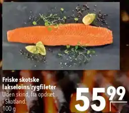 CITTI Markt Friske skotske lakseloins/rygfileter Angebot